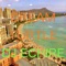 Dream Turtle - DJ ECHIRE lyrics