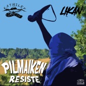Pilmaiken Resiste artwork