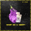 What Do You Want? - Single