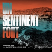 Un sentiment fort (feat. Sam Karpienia & Anass Zine) artwork