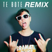 Te Boté (Remix) artwork