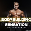 Bodybuilding Sensation: 50 Good Ones