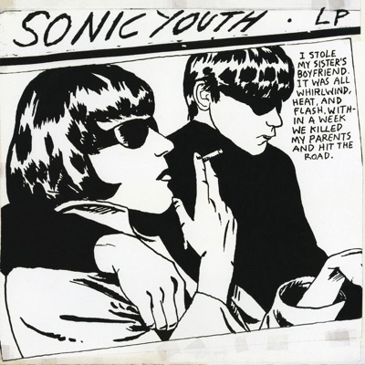 Incinerate Sonic Youth Shazam