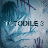 Totodile 3 artwork