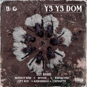 Y3 Y3 DOM (feat. Skyface SDW, Reggie, Kwaku DMC, City Boy, Kawabanga & O'Kenneth) artwork