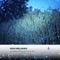Cosmic Forest Chill Out Sounds - Yao Zen & Rajat Rama Yoga lyrics
