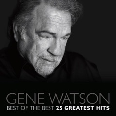 Best of the Best - 25 Greatest Hits