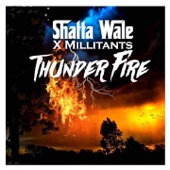 Thunder Fire (feat. SM Militants) artwork