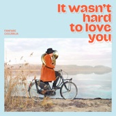 It Wasn't Hard to Love You artwork