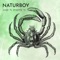 Greenhouse Effect - Naturboy lyrics