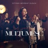 Mulțumesc - Single