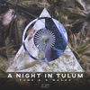 A Night in Tulum - Single