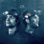 Mosaik - Camo & Krooked