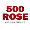 Die Campbells - 500 Rose