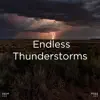 !!!" Endless Thunderstorms "!!! album lyrics, reviews, download