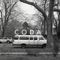 Cartoon Love - Radiation City lyrics