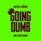 Going Dumb (Low Steppa Remix) - Alesso & CORSAK lyrics