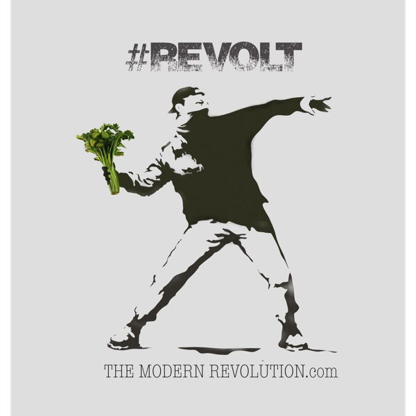 The Modern Revolution The Modern Revolution