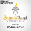 Stream & download Summerland 2014 (DJ Mix)