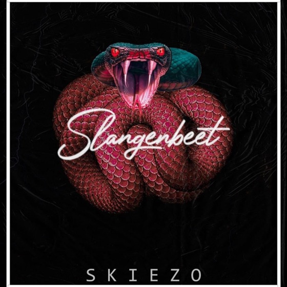 Cover artwork for Slangenbeet