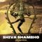 Shiva Shambho (Vertigos Remix) artwork