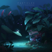 Particles - Casiio & Sleepermane