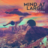 Mind at Large artwork