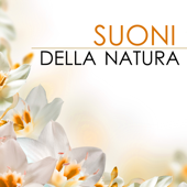 Suoni della Natura - Musica Rilassante per Persone Sensibli - Musica Rilassante Relax