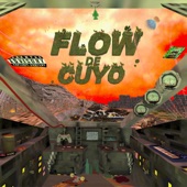 Flow de Cuyo artwork