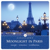 Moonlight in Paris artwork