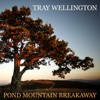 Pond Mountain Breakaway - Single