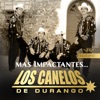 Los Canelos de Durango - El Chapo