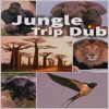 Jungle Trip Dub, 2021