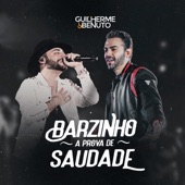 Barzinho à Prova de Saudade artwork