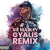 Gyalis (Remix) [Remix] - Single