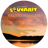 Kaunis maailma artwork