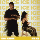 ICE ICE artwork