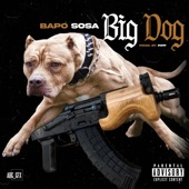 Big Dog artwork