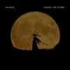 Yasuke: The Storm - Single album lyrics, reviews, download