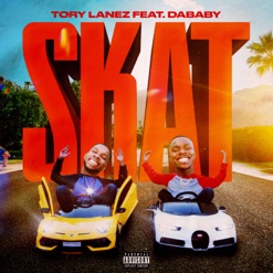 SKAT cover art