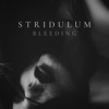 Bleeding - Single