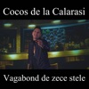 Vagabond De Zece Stele - Single