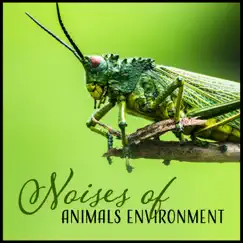Noises of Animals Environment by Sound of Nature Library album reviews, ratings, credits