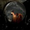 The night we ran away (feat. Veronica Charnley) - Gal George Gjurin lyrics