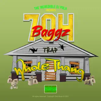 Whole Thang (feat. 704 Baggz) - Single by The Incredible DJ Polo album reviews, ratings, credits