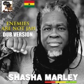 Enemies Are Not Jah (Dub Version) artwork