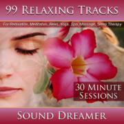 99 Relaxing Tracks (30 Minute Sessions) [For Relaxation, Meditation, Reiki, Yoga, Spa, Massage and Sleep Therapy] - Sound Dreamer