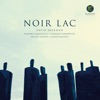 Noir Lac (feat. Krystle Warren & Lansiné Kouyaté)