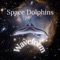 Wave Form - Space Dolphins lyrics