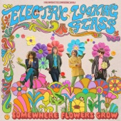 Electric Looking Glass - Dream a Dream
